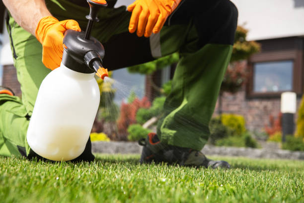Best Termite Control Services  in Hilltop, MN