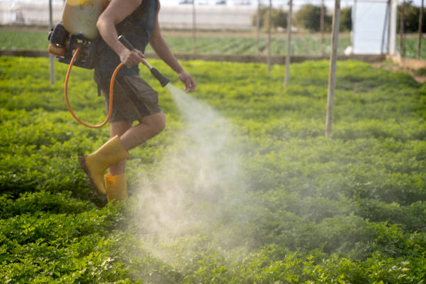 Best Pest Prevention Services  in Hilltop, MN