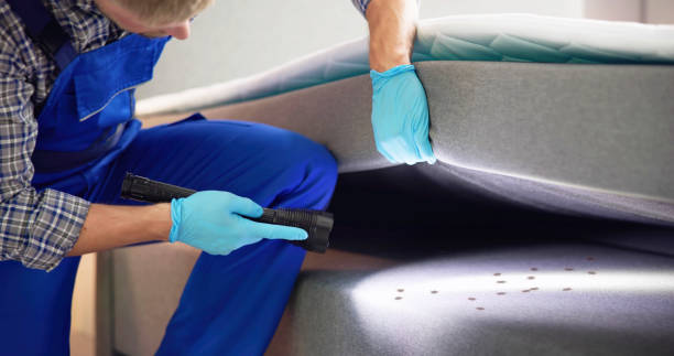 Best Flea Control Services  in Hilltop, MN