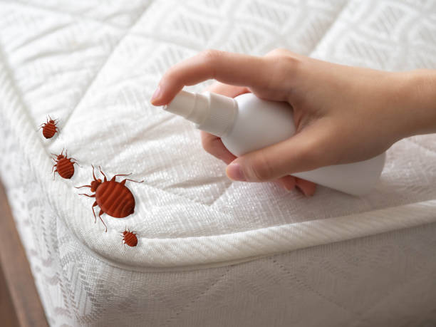 Pest Control Cost in Hilltop, MN