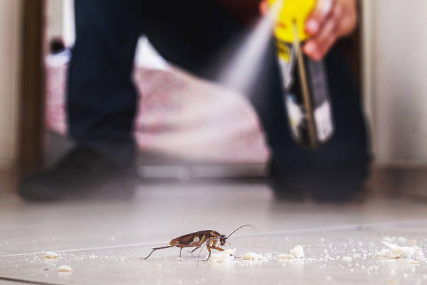Best Commercial Pest Control Services  in Hilltop, MN