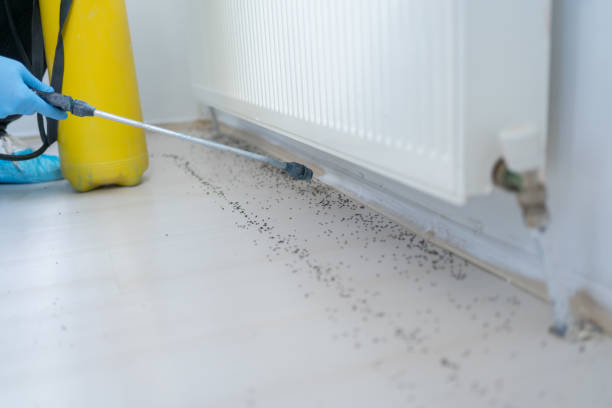 Best Best Pest Control Companies  in Hilltop, MN