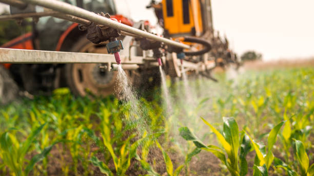 Reliable Hilltop, MN Pest Control Solutions